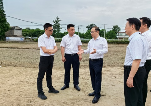 胡云赴眉山调研耕地；；；；；；だ煤透弑曜寂┨锝ㄉ韫ぷ