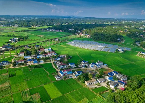 湖南：靶向发力盘活存量土地资产<br>为206家机关企事业单位定制处置方案，，，，，，盘活土地2.6万亩