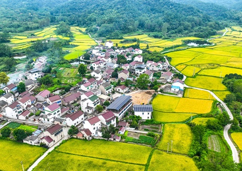 安徽省自然资源厅：130个乡镇耕地保；；；；こ杉ㄍ怀 获补偿激励1.3亿元