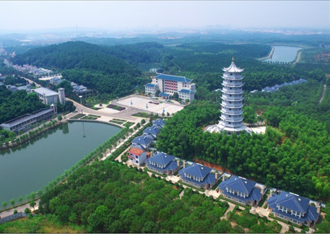 湖北：用好“一张图” ，，，，，，，智治有支撑